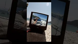 Just when you thought it was safe to go cat sailing  #shorts  #catsailing #sailboat #sailingboat