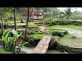 Download Lagu Satu Rumah Di Tengah Sawah Sejuk Bikin Betah Ngabuburit || Cigamreng Garut