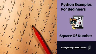 Python Example Code - Find Power Of a Number SavageCamp