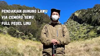 pendakian gunung lawu via cemoro sewu info jalur biaya dan estimasi waktu pendakian 