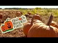 Bishop s Pumpkin Farm Attractions Tips