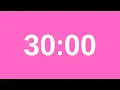 30 Minute Timer - 1800 Second Countdown