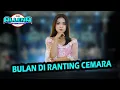 Download Lagu BULAN DIRANTING CEMARA - AYU CANTIKA - OM ALLENA Sidoarjo SULTAN music