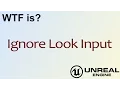 WTF Is Ignore Look Input in Unreal Engine 4 UE4