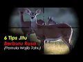 Download Lagu TIPS BERBURU RUSA - PEMULA WAJIB TAHU