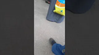 في محطة طنطا 