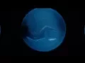 Video di Moses Sumney - Doomed [Official Video]