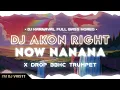 Download Lagu DJ KARNAVAL RIGHT NOW NANANA X DROP BBHC - FULL BASS HOREG THAILAND STYLE