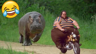try not to laugh best funny videos compilation memes part 2