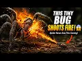 Bombardier Beetle The Tiny Insect with an Explosive Chemical Weapon