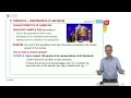 Unit 5 INFERENCE Distribution in sampling Basics concepts UPV
