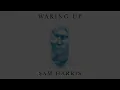Waking Up with Sam Harris - Looking for the Self (26 Minute Meditation)
