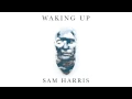 Waking Up with Sam Harris - Looking for the Self 26 Minute Meditation