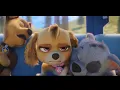 Download Lagu Paw Patrol - Imagine Dragons - Bones - Music Video ~♡