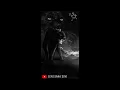 Download Lagu Musik Digital _ Macan Kumbang