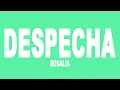 Download Lagu Rosalia - Despecha (Audio)