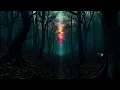 Where Shadows Dance