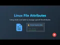 Protect Your Linux Files Master File Attributes with chattr lsattr