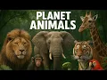 Download Lagu NATURE'S REAL SUPER STARS | JUNGLE ANIMALS DISCOVERY / 4K ULTRA HD #4k #ANIMALS 