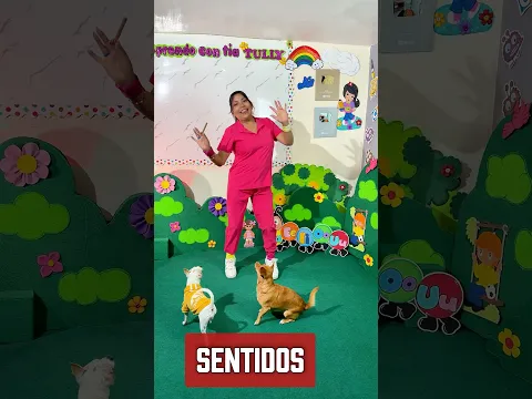 Los 5 sentidos