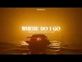 Download Lagu Nicky Romero x Vikkstar x Alpharock x Oaks - Where Do I Go (Extended Mix)