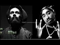 Damian Marley Ft. 2Pac - Patience (Remix)