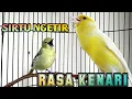 Download Lagu SIRTU/CIPOH NGETIR ISIAN KENARI ROOL TEMBAK.