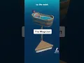 What type of Raft player are you