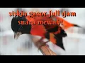 Download Lagu Red siskin gacor full 1jam untuk masteran !