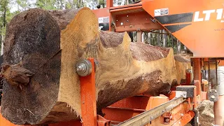 Incredible Boards from a Terrible Log