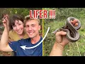 Download Lagu Finding My LIFER Western Milksnake in Arkansas!!!