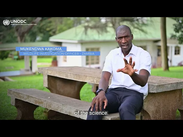 Watch Uganda wildlife forensics laboratory on YouTube.