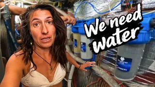 Caribbean Festival, Wasp Attack & Boat Repairs! ⛵ E387