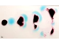Download These Liquids Look Alive! mp4 3gp mp3 videos - waplic