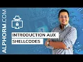 Introduction to Shellcode Hacking and Security