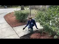 DIY no-dig landscape edging installation Vigoro