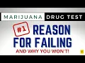 YOU WILL PASS YOUR DRUG TEST if YOU WATCH THIS