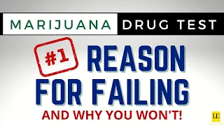 YOU WILL PASS YOUR DRUG TEST if YOU WATCH THIS