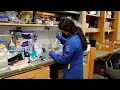 Brain Repair Research The S Thomas Carmichael Lab