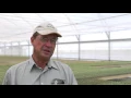 Hi-Way 1 Truck Centre Client Profile - Wide Bay Seedlings