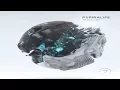 Download Lagu Pspiralife - The Middle Way