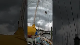 Squall Timelapse 🌧️