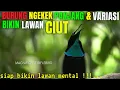 Lagu MASTERAN BURUNG SUARA BURUNG UNIK bisa bikin LAWAN langsung nempel ke RUJI !!!...