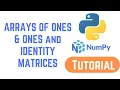 Python NumPy Tutorial For Beginners - ARRAYS OF ONES ONES and IDENTITY MATRICES