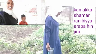 Shaqala Tayu Koo Ittin Bona Isin Hoo Akkamii 