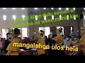 Download Lagu mantap pangeol ni boru ni Raja i. pemberian #uloshela kepada pihak par boru,bereng panortor ni op i