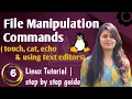 Linux File Manipulation Commands Create Files Using touch cat echo vi nano