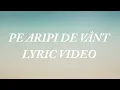 Download Lagu Delia - Pe aripi de vânt (Lyric Video)