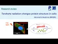 Terahertz radiation changes protein structure in cells