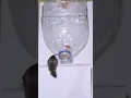 Download Lagu Perangkap tikus mudah | Perangkap tikus/ide perangkap tikus terbaik dari botol plastik #tikus #perangkaptikus #perangkaptikus